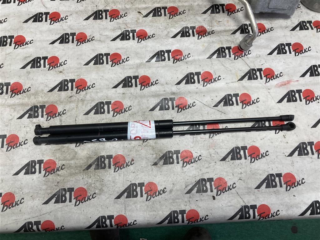 TOYOTA PRIUS NHW20 для Упоры задней двери 2 шт