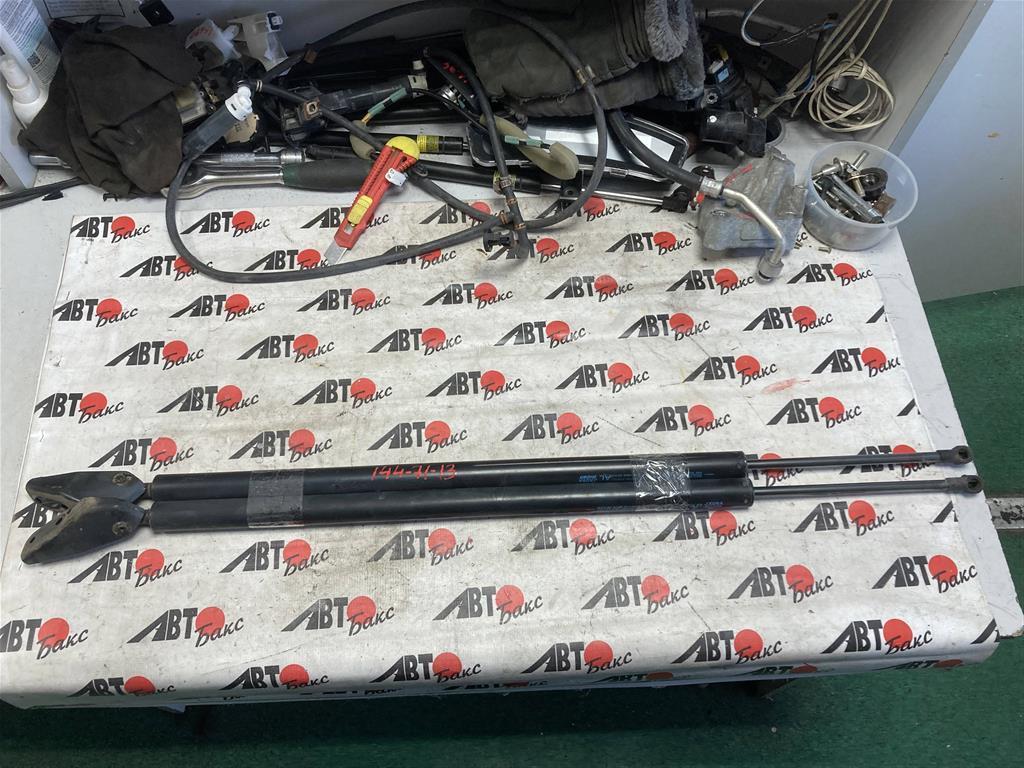 NISSAN NV200 VM20 для Амортизатор двери задка ПАРА